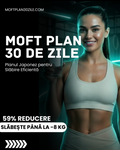 Moft Plan: Planul Japonez (Ebook)